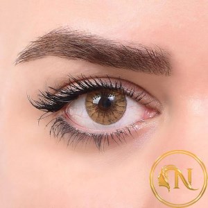 لنز رنگی رویال ویژن