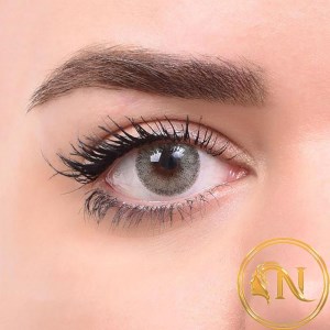 لنز رنگی رویال ویژن